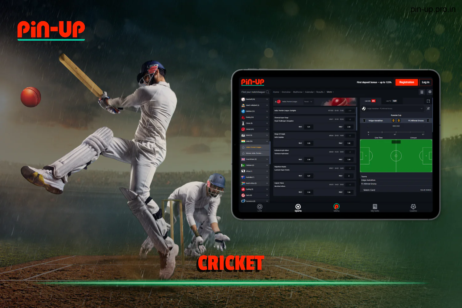 Indian users of PinUp can participate in cricket betting.