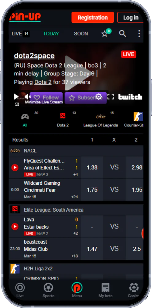 Pin Up offers a wide range of eSports bets for Indian users